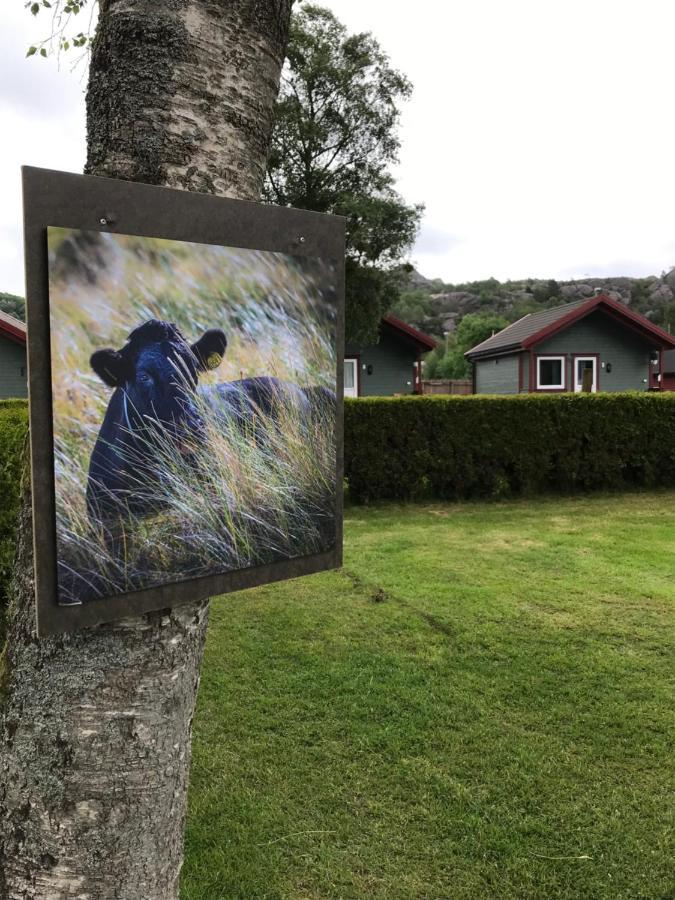 Naf Steinsnes Camping Egersund Exterior foto